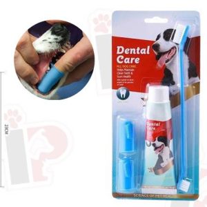 KIT DENTAL ECONOMICO