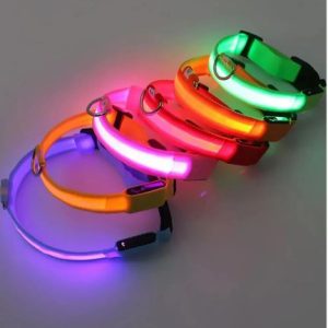 COLLAR CUELLO LUMINOSO