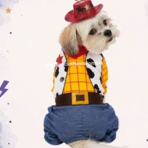 FR75_DISFRAZ VAQUERO TALLA M
