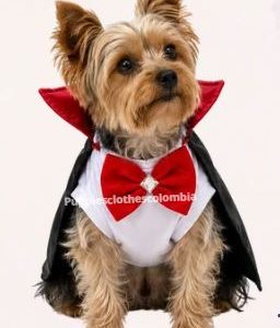 FR76_DISFRAZ VAMPIRO TALLA M