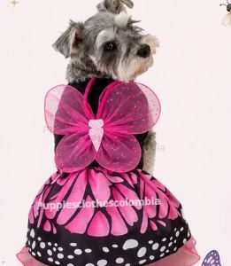 FR78_DISFRAZ MARIPOSA TALLA S
