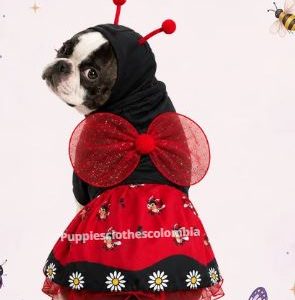 FR80_DISFRAZ MARIQUITA TALLA L