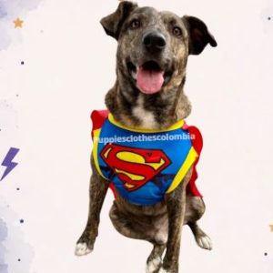 FR82_DISFRAZ SUPERMAN TALLA L