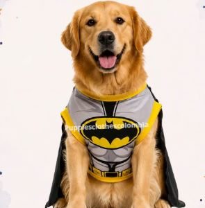 FR83_DISFRAZ BATMAN TALLA L