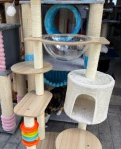 CAT PALACE